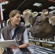 Curso Técnico em Agropecuária